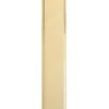 Polished Brass 382 X 64mm Fingerplate | FB107PB -Ironmongery Experts Shop fb107 8ymr 5i.jpg.mst