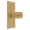 Satin Brass 30mm Knurled Knob On Rectangular Backplate | BP702SB76SB -Ironmongery Experts Shop screenshot 2023 03 17 at 11.22.16 am 1.png.mst