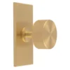 Satin Brass 35mm Knurled Cupboard Knob With Rectangular Backplate | BP703SB76SB